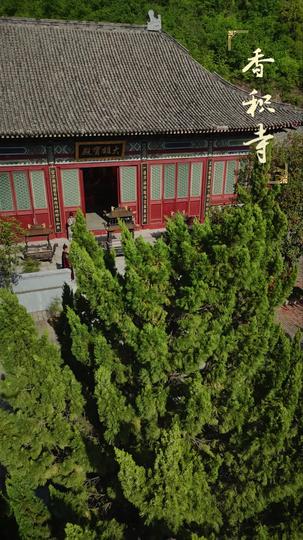 天命凤女 第1集