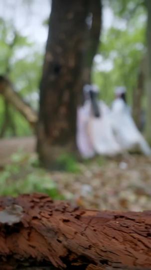 Cenouras, Caos e um Amor Celestial 4Episódio