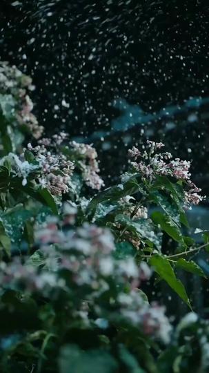 Defying Fate: His Glorious Ascent Episode 1