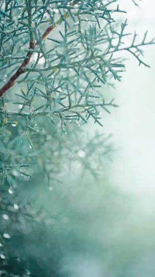 藏匿星光 第1集