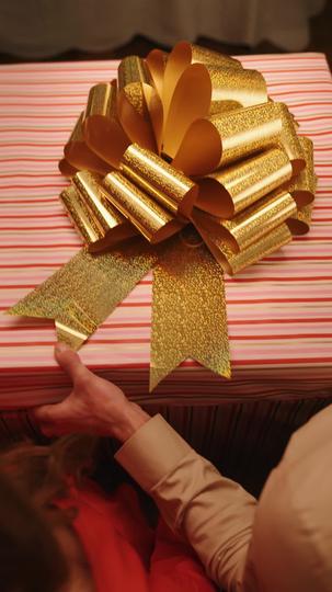 Billionaire Completes My Bucket List Episode 2