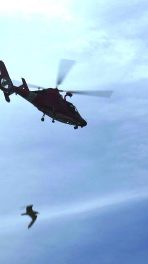 我打野硬控全场 第1集