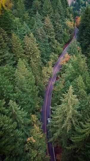 Oops! I Married My Forgetful Ex-boyfriend Episode 1