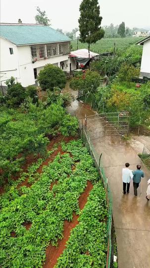 Saatnya Pria Sejati Berjaya Episode 2