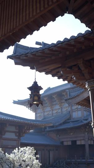 一见君来误此生 第4集