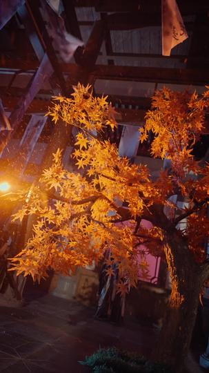 无情人无情道 第11集