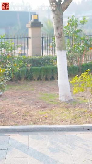 修真奶爸不好惹 第11集