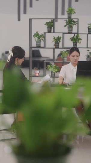 仲夏夜的告别 第3集