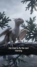 Episode 27