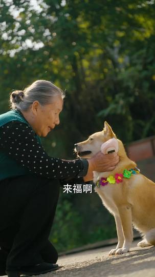 家有来福 第4集
