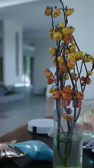 Pawn in the Game, Justice in Her Hands Episode 6