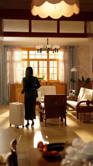 離婚後她自成星河 第2集