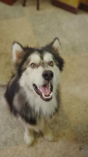 I Wish You Knew Episode 3