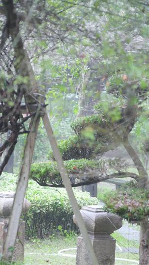 轮椅围城 第9集