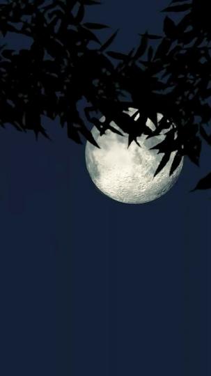 媽媽，請務必拯救自己 第8集