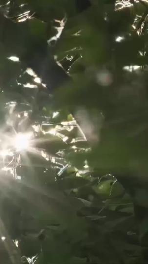 Late to Love, Right on Time Episode 5