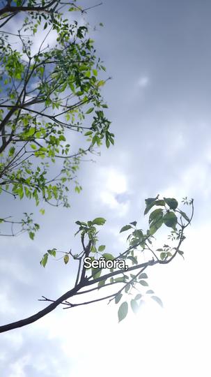 La novia con un pasado oculto Episodio 6