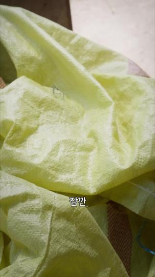 응답하라, 복희 제11회
