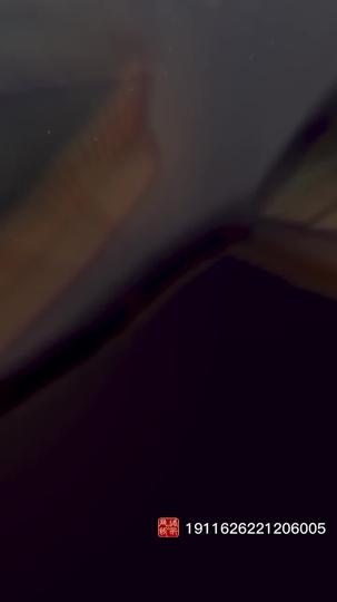 金牌外卖侠 第1集