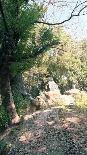 Too Late for Apologies, Too Late for Me Episode 1