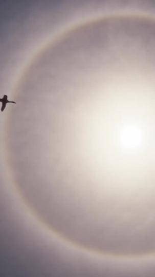 武道狂醫 第1集