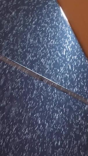 Por Sangue Jurado: A Rosa Espinhosa da Máfia (Dublado) 1Episódio