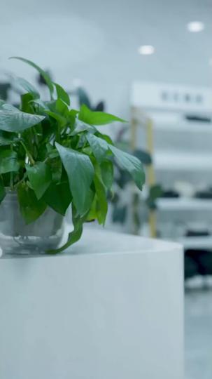 System Reboot: Her Takeover  Episode 6