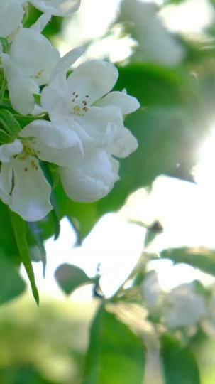 Beso de Amor Verdadero Episodio 6