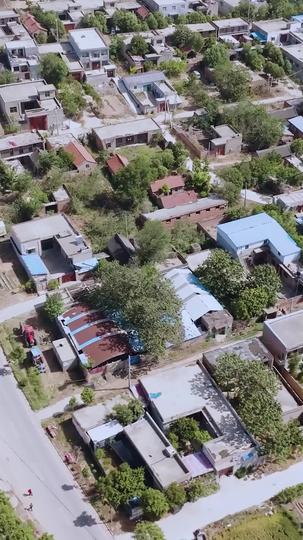 麦子熟了 第1集