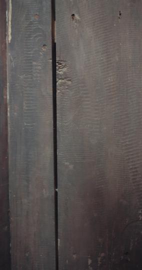 我的女帝陛下 第6集