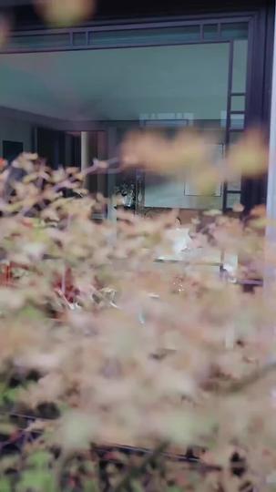 재벌남의 취미는 데릴사위 제1회