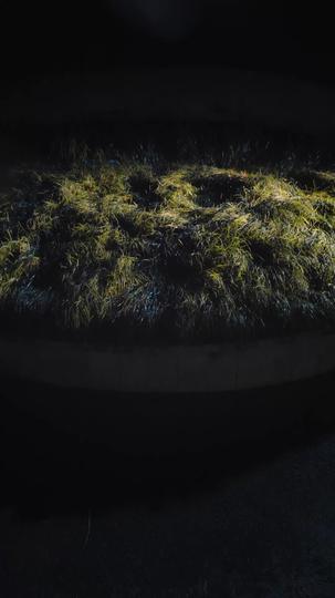 风筝与风 第1集