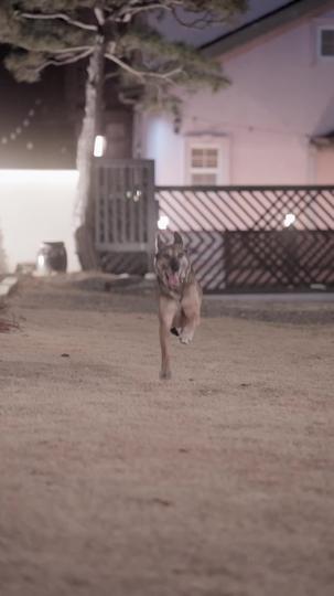 ทายาทตัวจริงคือใคร? ที่11ตอน