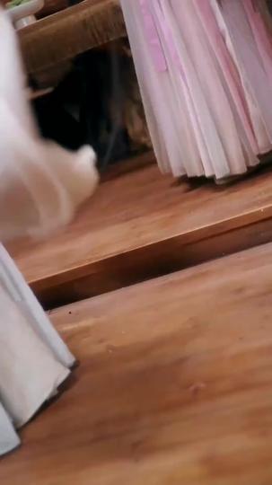 重生歸來:寵妾滅妻?我休夫! 第8集