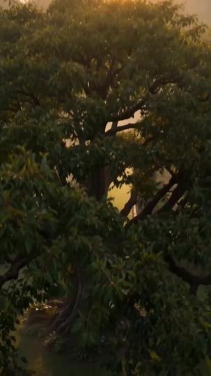 Call Me By His Name Episode 1