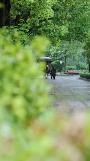 转身又见海棠开 第6集