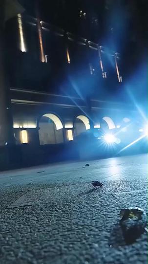 장생 반지 제10회