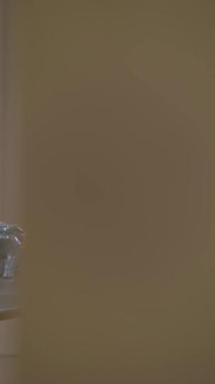 光の裏切り者 第 10 話