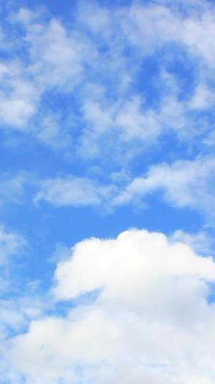 熟年婚ラプソディ 第 10 話