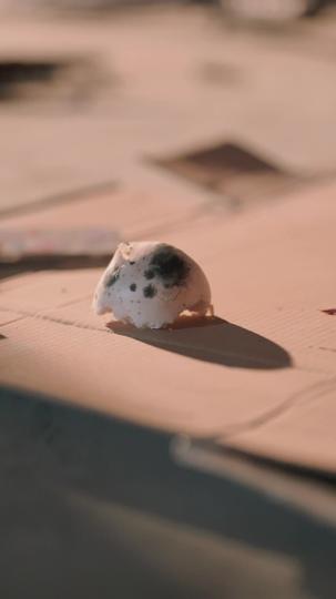 El Amor Duradero del Sr. Singer Episodio 6