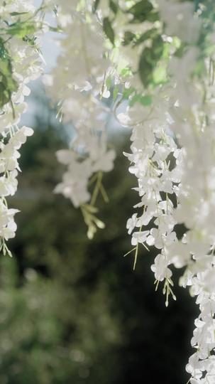 Destined Love: Marry Me Again Episode 1