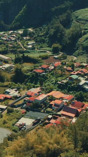 La pareja embarazada del Alfa estéril Episodio 1