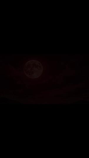Cursed to Survive: Conquering the Realm of Nightmares Episode 1