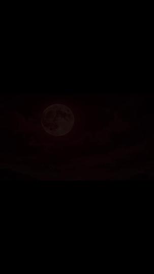 Cursed to Survive: Conquering the Realm of Nightmares Episode 1