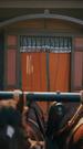 Episodes 33
