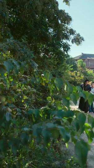 將星起於行伍 第4集