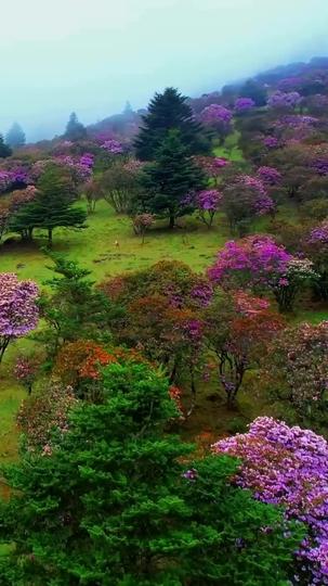 Sugar, Spice, and Everything Nice Episode 1