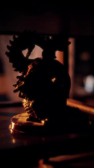 我真没想当鉴宝大师 第1集