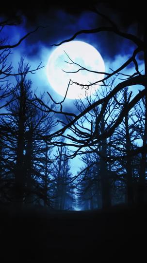 Vampire's Temptation，Alpha's Obsession Episode 1