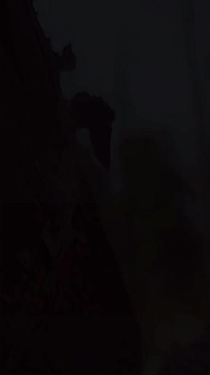 Maaf Mas Sudah Terlambat Episode 1